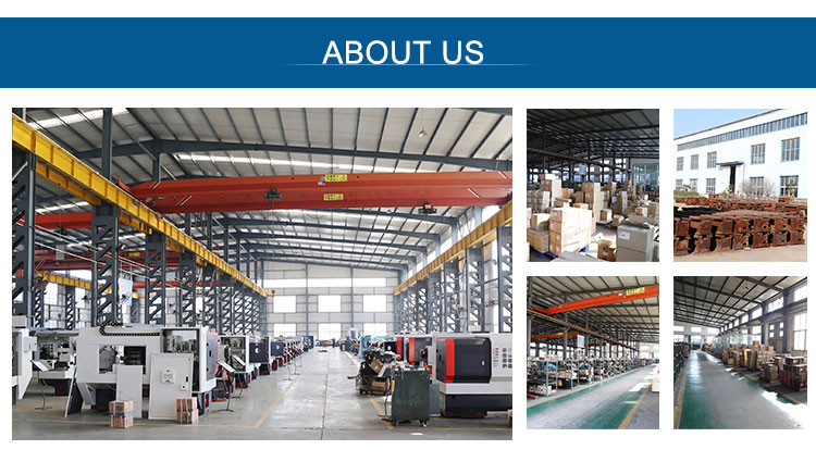 Company Introduction
